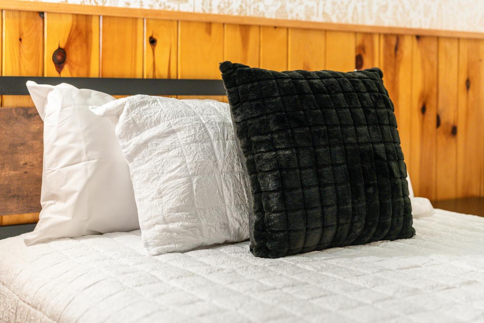 Seneca Pines Lodge Seneca Rocks Ngoại thất bức ảnh
